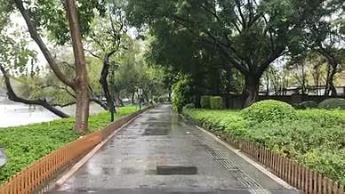 雨天公园拍摄实拍树木小道视频的预览图